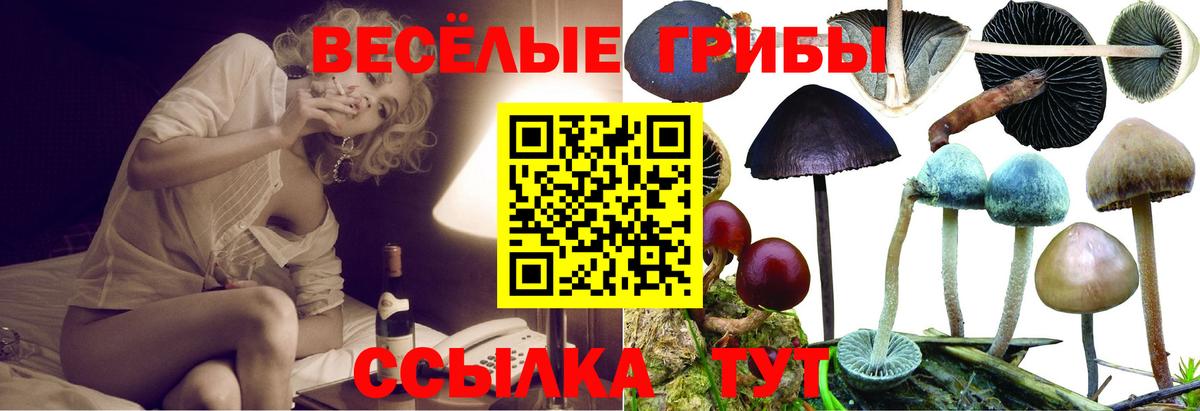 Псилоцибиновые грибы MAGIC MUSHROOMS  как найти закладки  Северск  Вход с VPN 